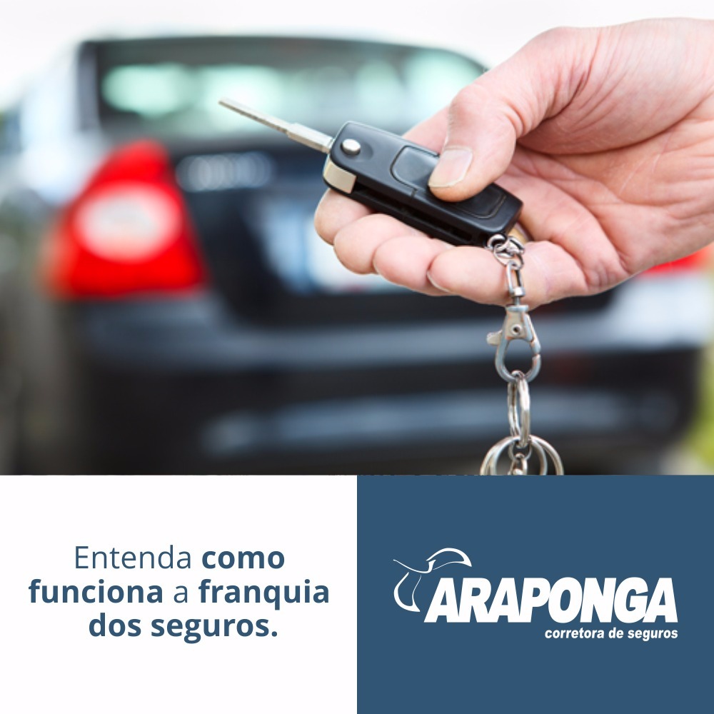 Entenda Como Funciona A Franquia Dos Seguros Araponga Corretora De Seguros 2021